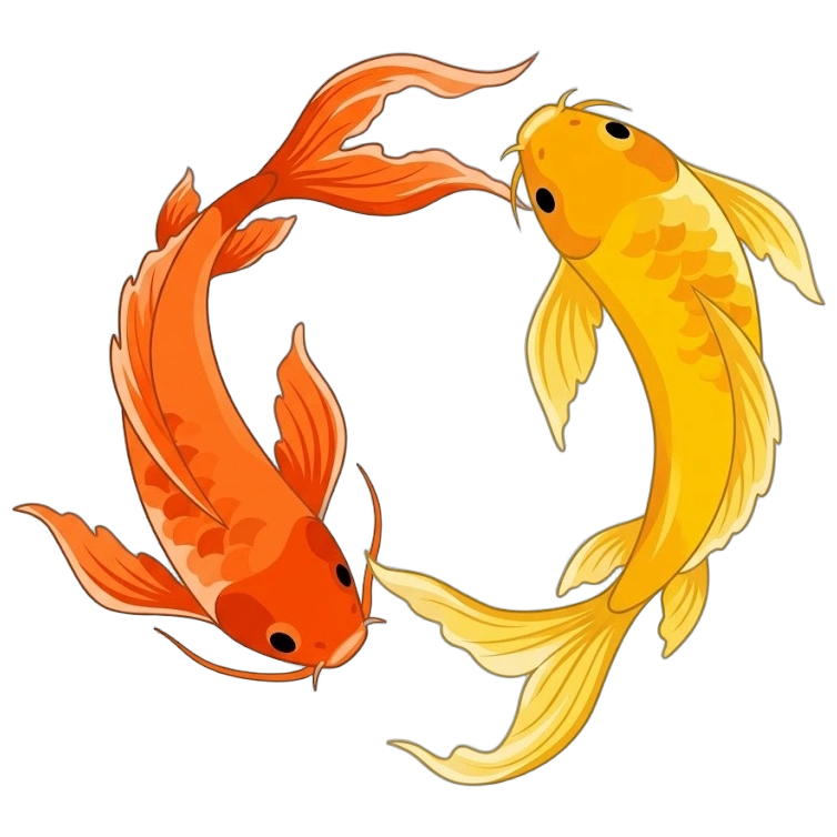 Peces koi rodeando el logo de Kimtoug